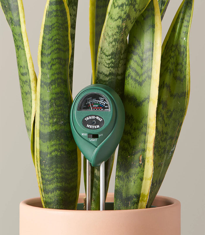 w-plant-care-moisture-meter-1-1